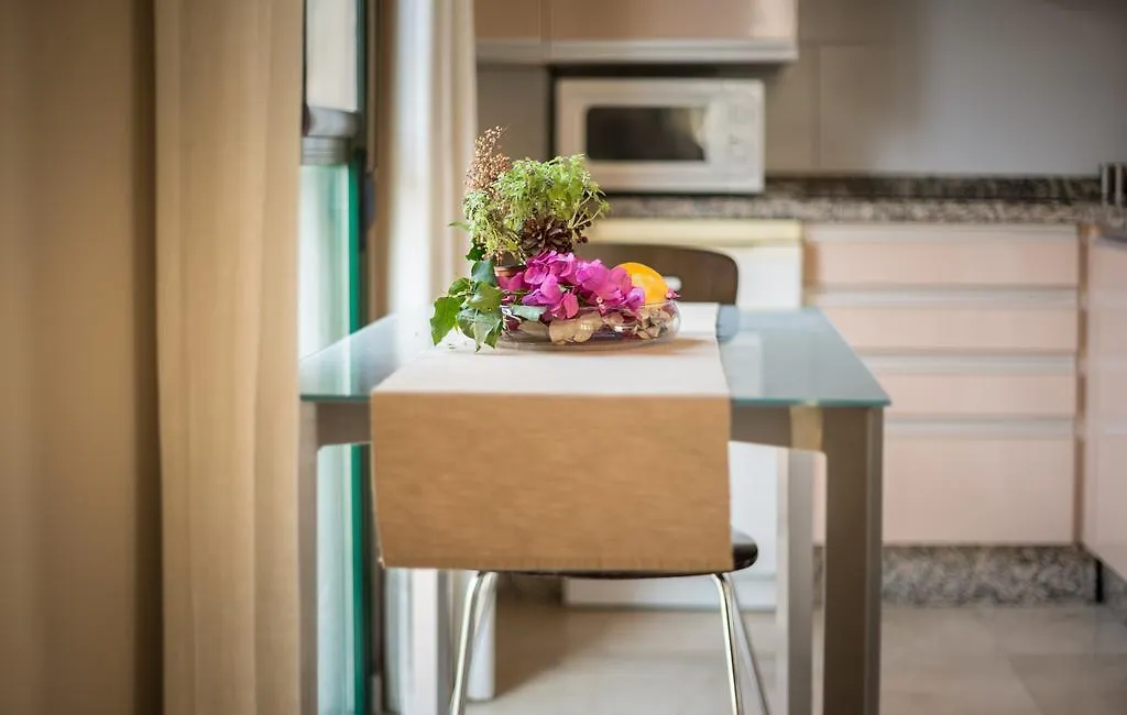 Apartamentos Ollerias Malaga 0*,